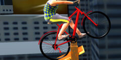 Bicycle Stunt 3D